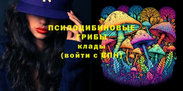 индика Армянск